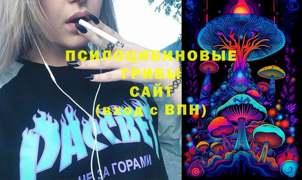 сатива Балахна