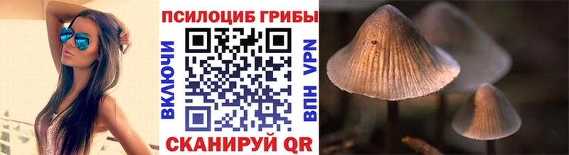 Псилоцибиновые грибы ЛСД omg ссылка darknet официальный сайт где продают Терек